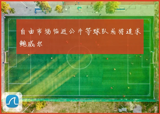 自由市场临近公牛等球队或将追求鲍威尔